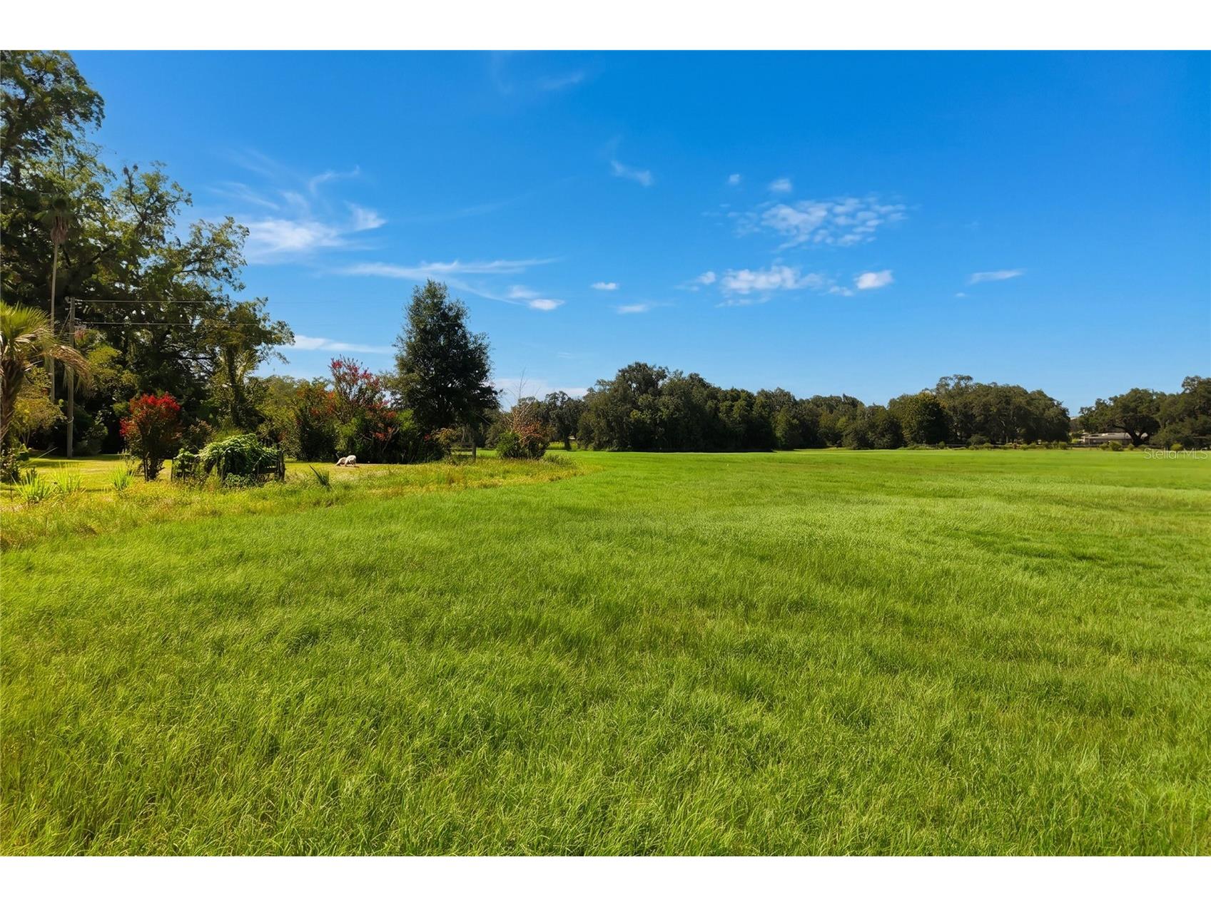 18951 SE 15th Street Williston FL 32696 OM728143 image55