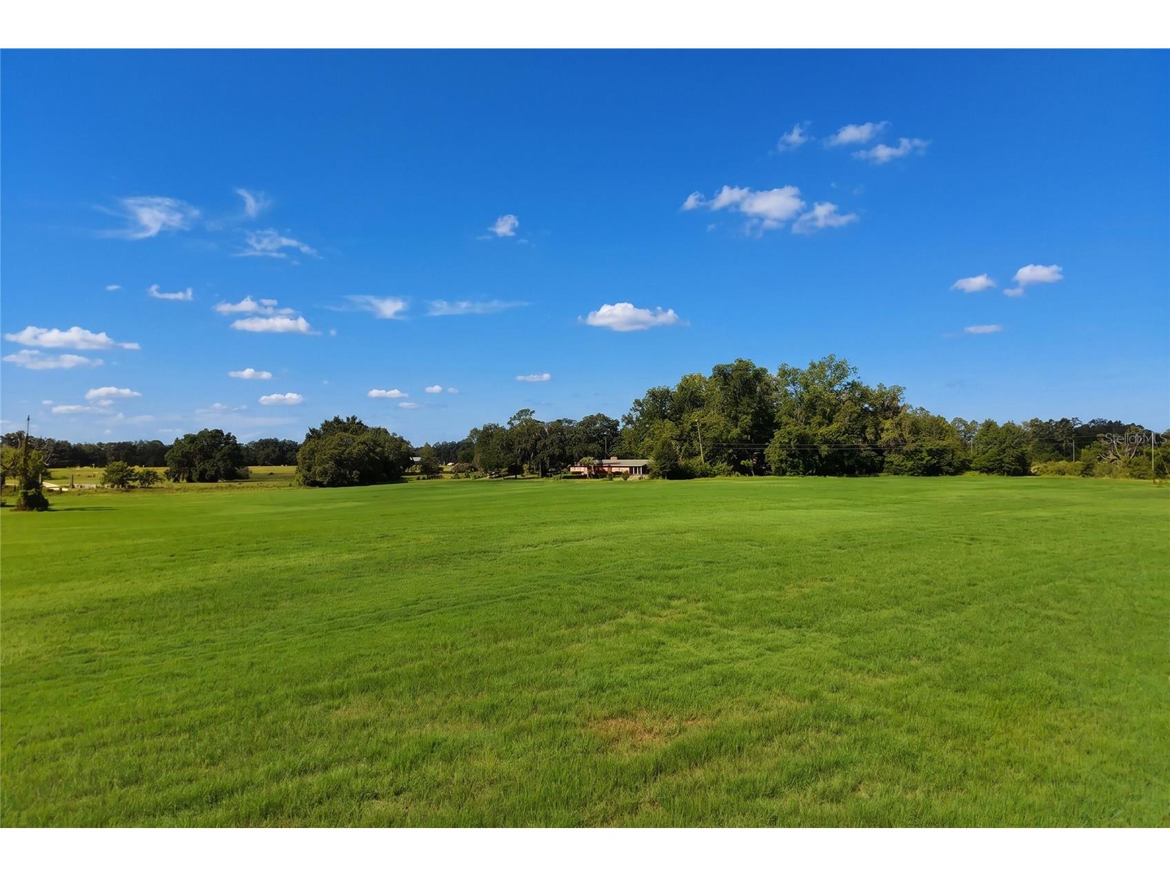 18951 SE 15th Street Williston FL 32696 OM728143 image56