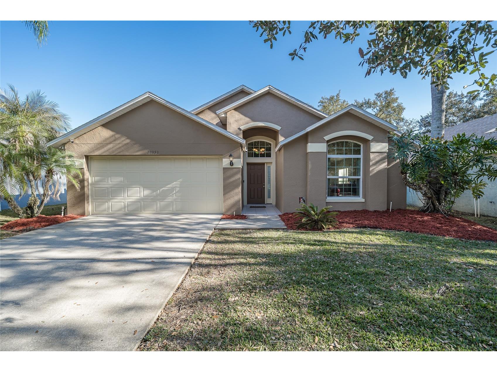 18953 Wood Sage Drive Tampa FL 33647 OM717779 image1