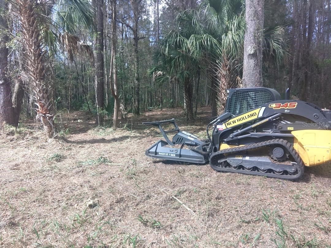 18954 County Rd 329 Micanopy FL 32667 OM720924 image2