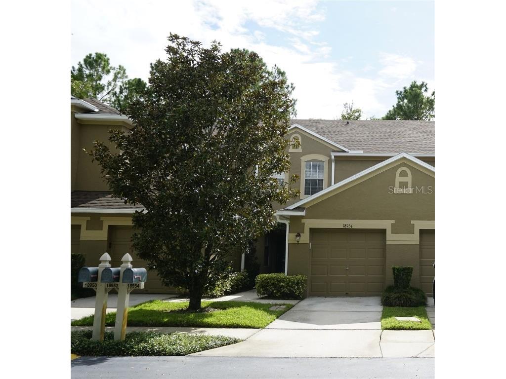 18954 Duquesne Drive Tampa FL 33647 T3546568 image1