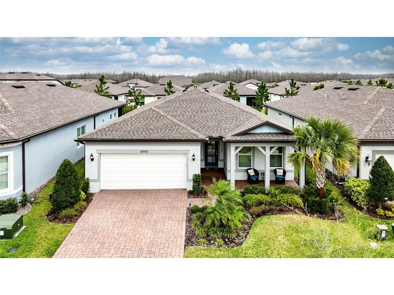 18955 Sailors Delight Pass Land O Lakes FL 34638 TB8359801 image1