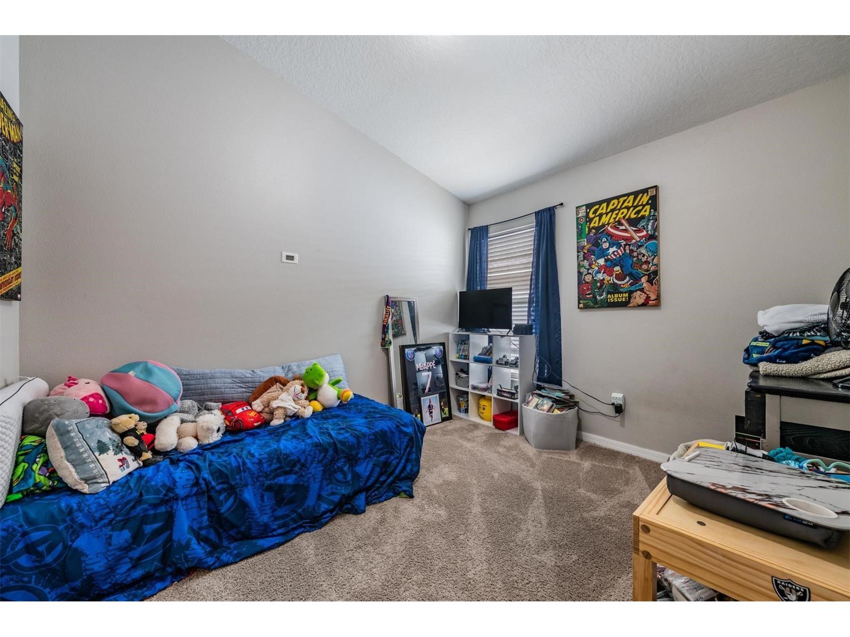18955 Wood Sage Drive Tampa FL 33647 TB8490778 image14