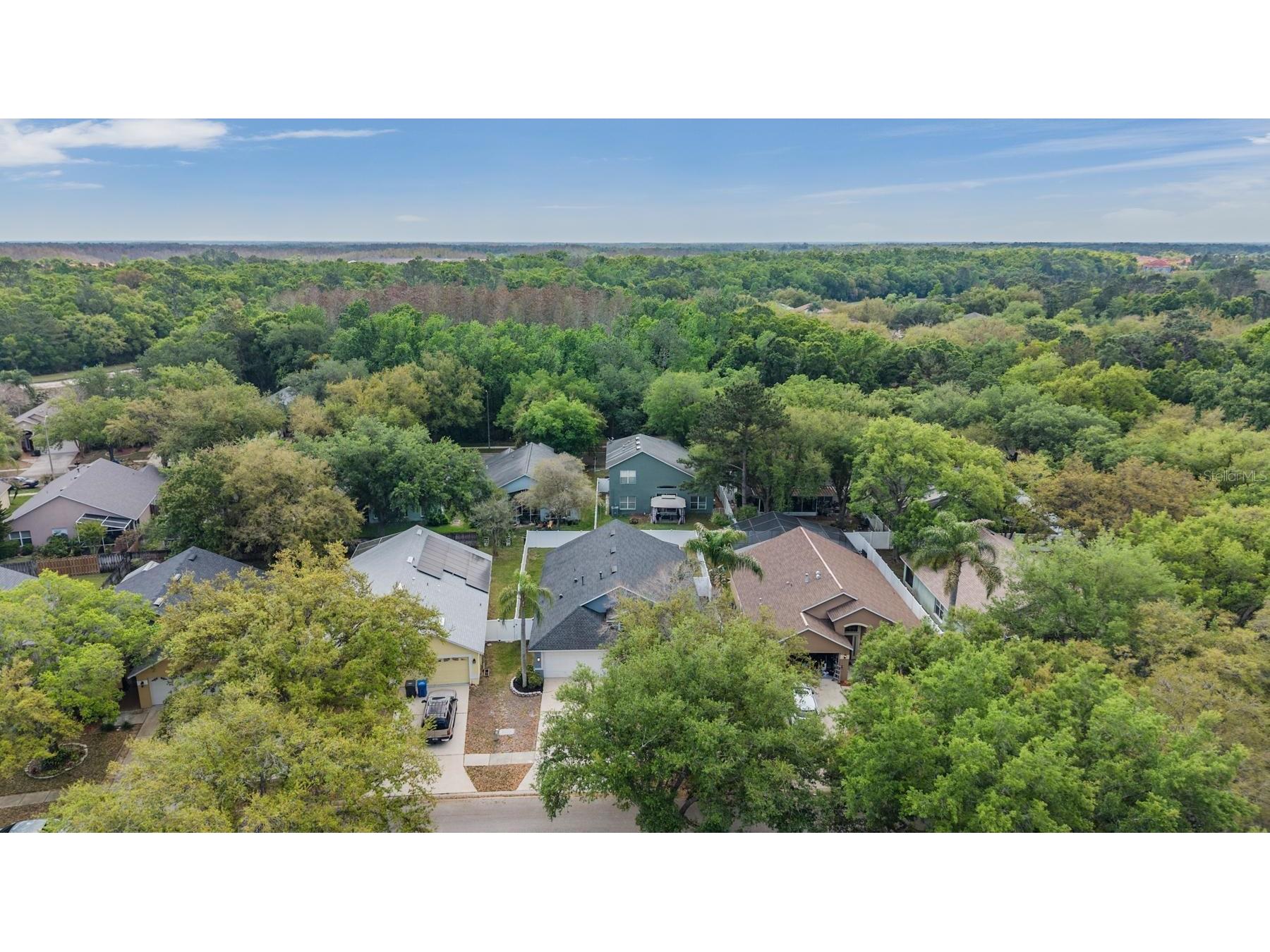 18955 Wood Sage Drive Tampa FL 33647 TB8490778 image30