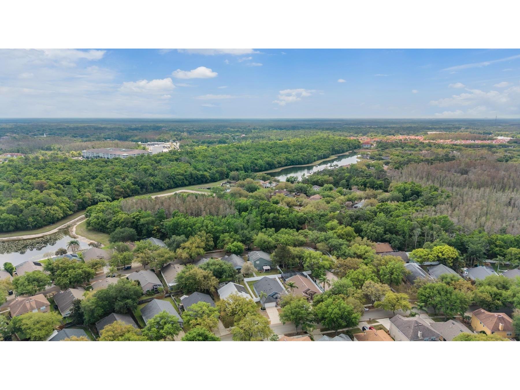 18955 Wood Sage Drive Tampa FL 33647 TB8490778 image31