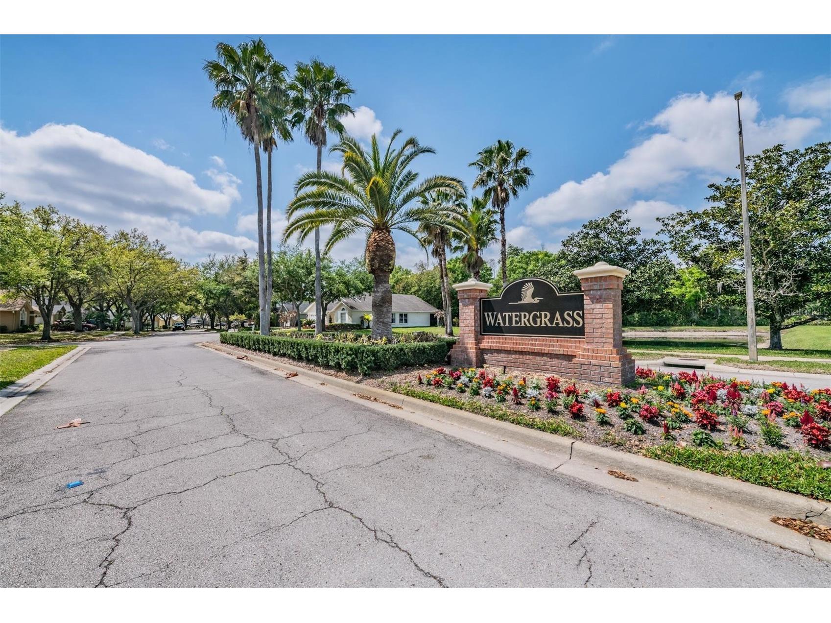 18955 Wood Sage Drive Tampa FL 33647 TB8490778 image34