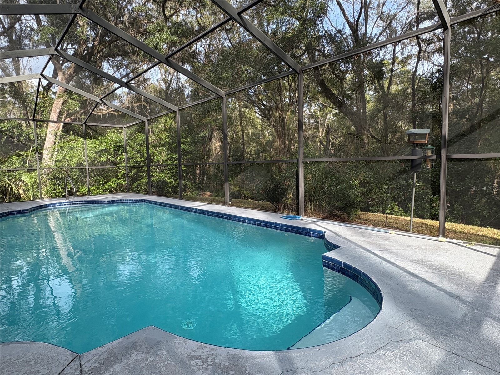 18956 SW 93rd Loop Dunnellon FL 34432 - RAINBOW RIVER OM716417 image37