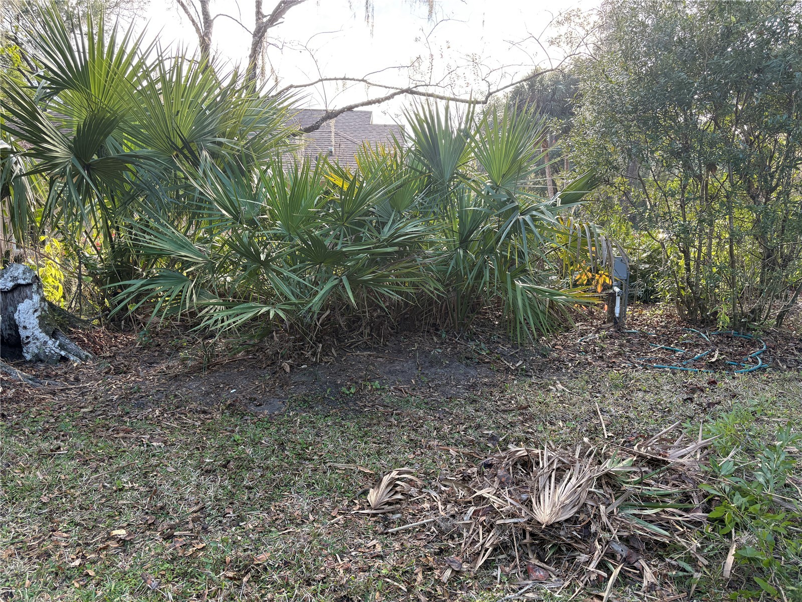 18956 SW 93rd Loop Dunnellon FL 34432 - RAINBOW RIVER OM716417 image44