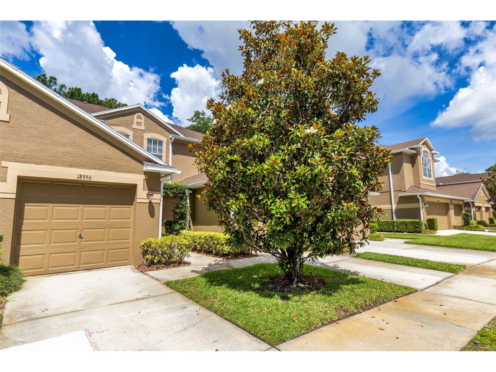 18958 Duquesne Drive Tampa FL 33647 TB8514184 image3