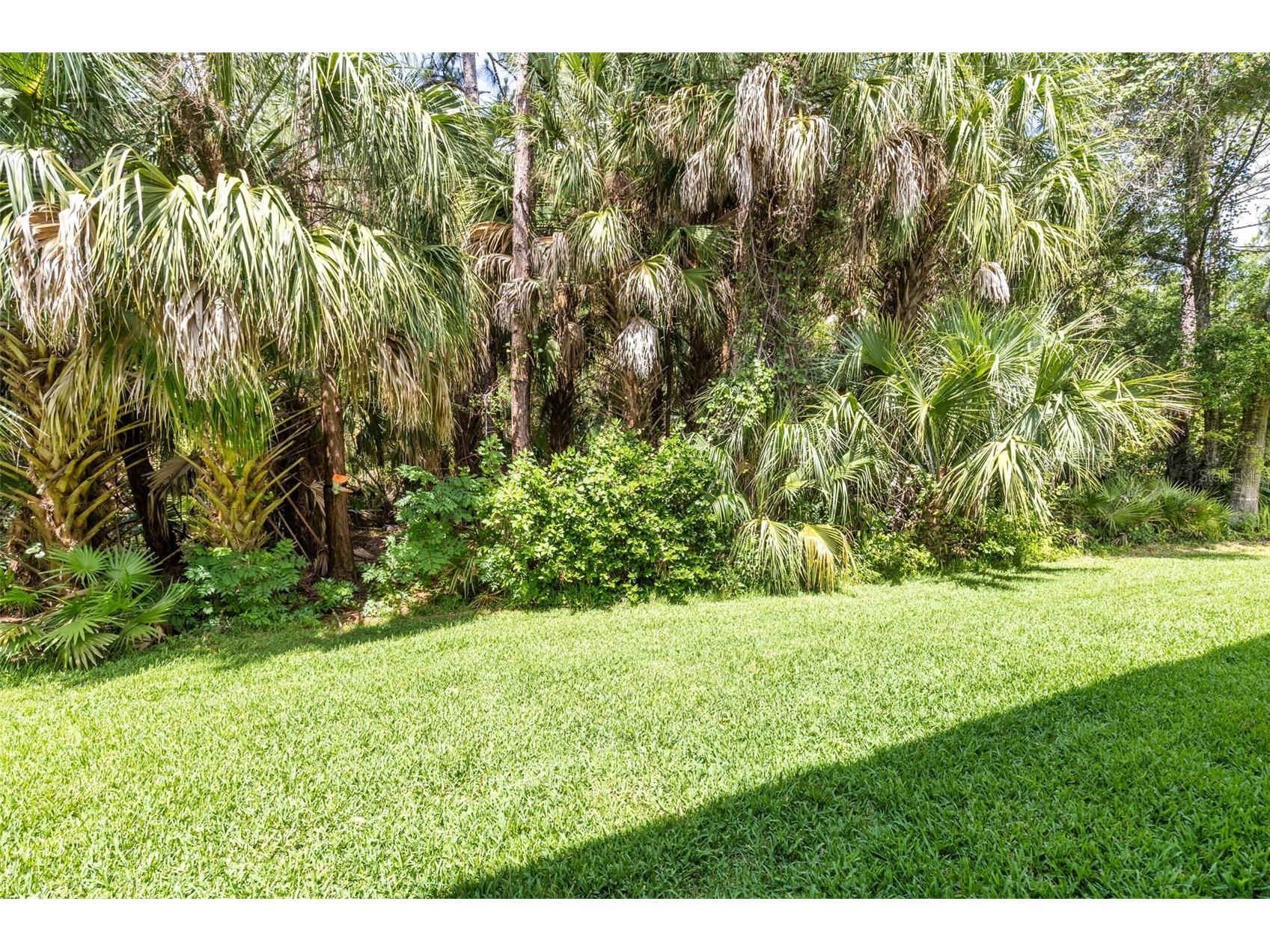 18958 Duquesne Drive Tampa FL 33647 TB8514184 image31