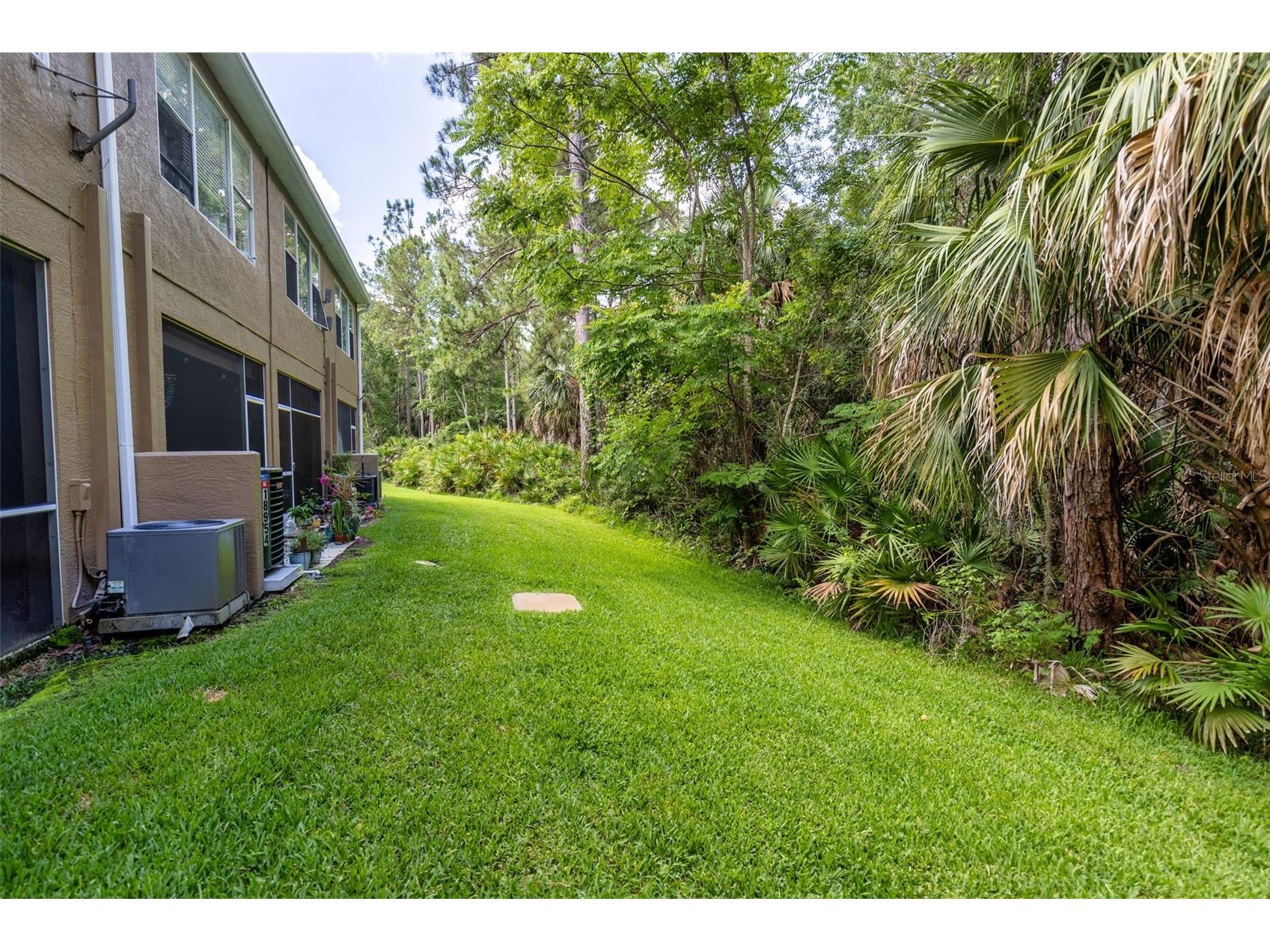 18958 Duquesne Drive Tampa FL 33647 TB8514184 image34