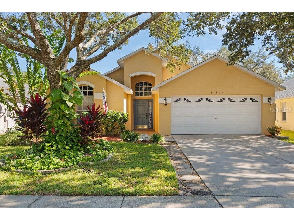 18959 Wood Sage Drive Tampa FL 33647 TB8448501 image1