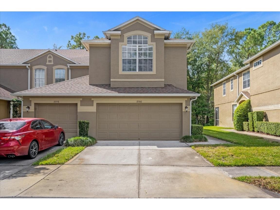 18960 Duquesne Drive Tampa FL 33647 T3480616 image1