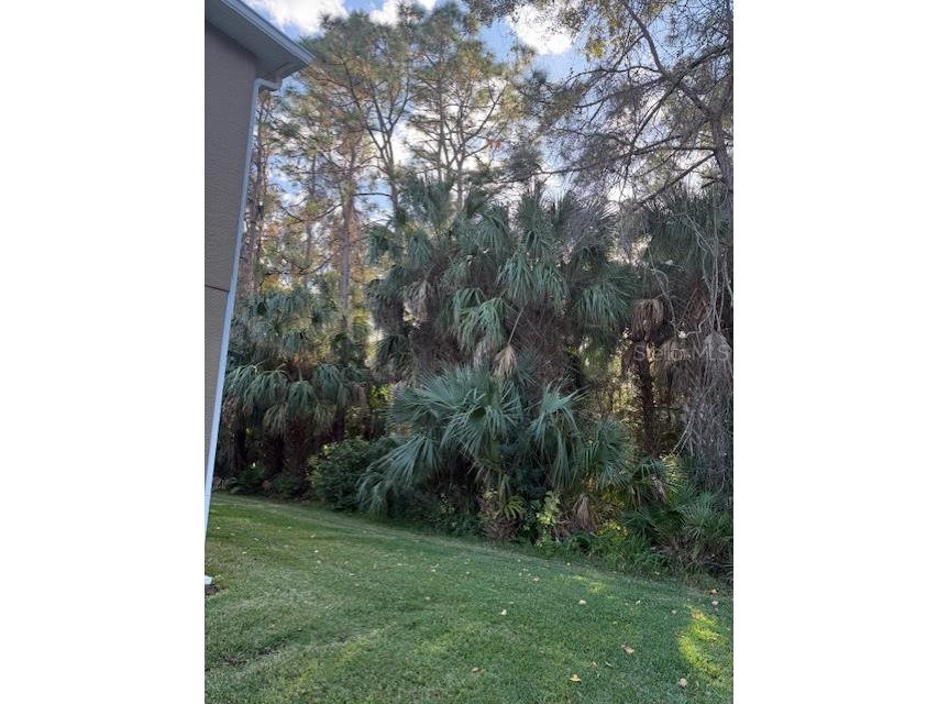 18960 Duquesne Drive Tampa FL 33647 TB8458492 image19