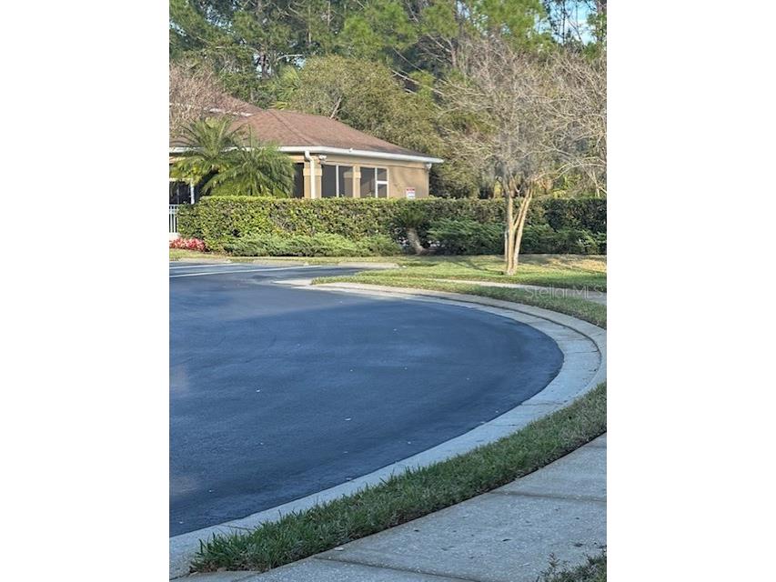 18960 Duquesne Drive Tampa FL 33647 TB8458492 image20