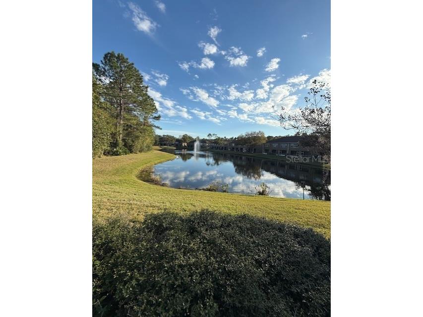 18960 Duquesne Drive Tampa FL 33647 TB8458492 image26