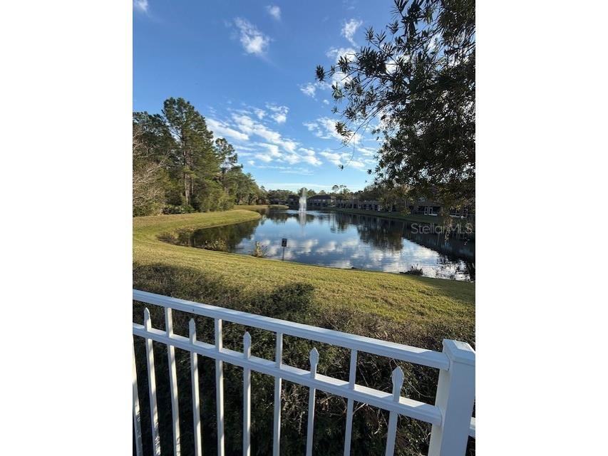 18960 Duquesne Drive Tampa FL 33647 TB8458492 image27