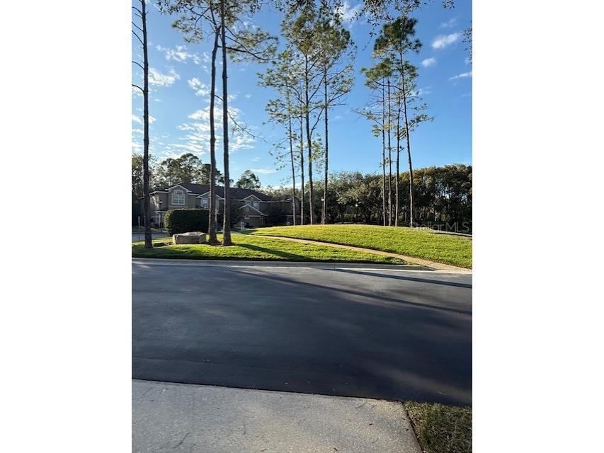 18960 Duquesne Drive Tampa FL 33647 TB8458492 image30