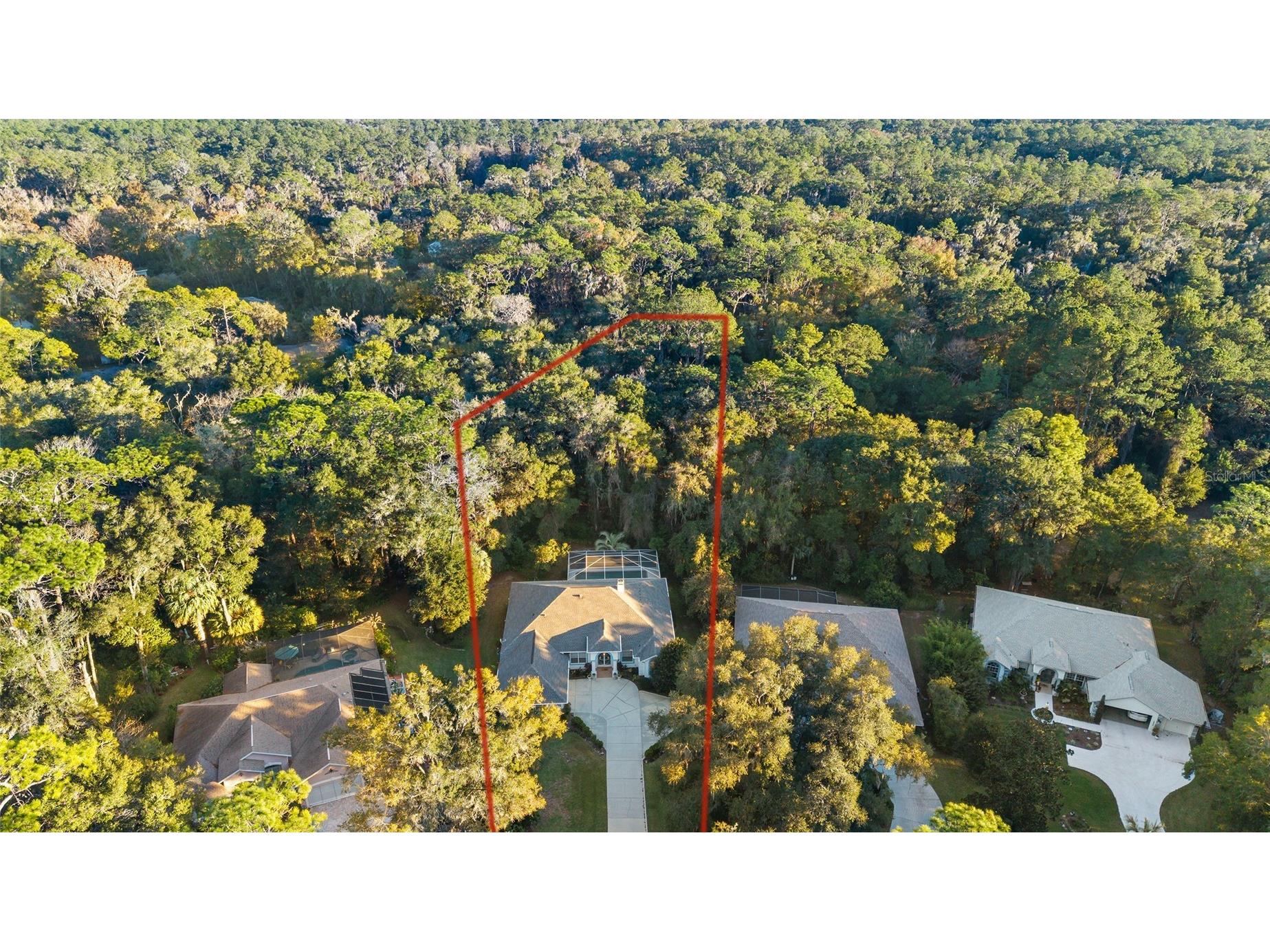 18964 SW 93rd Loop Dunnellon FL 34432 - RAINBOW RIVER OM715031 image1