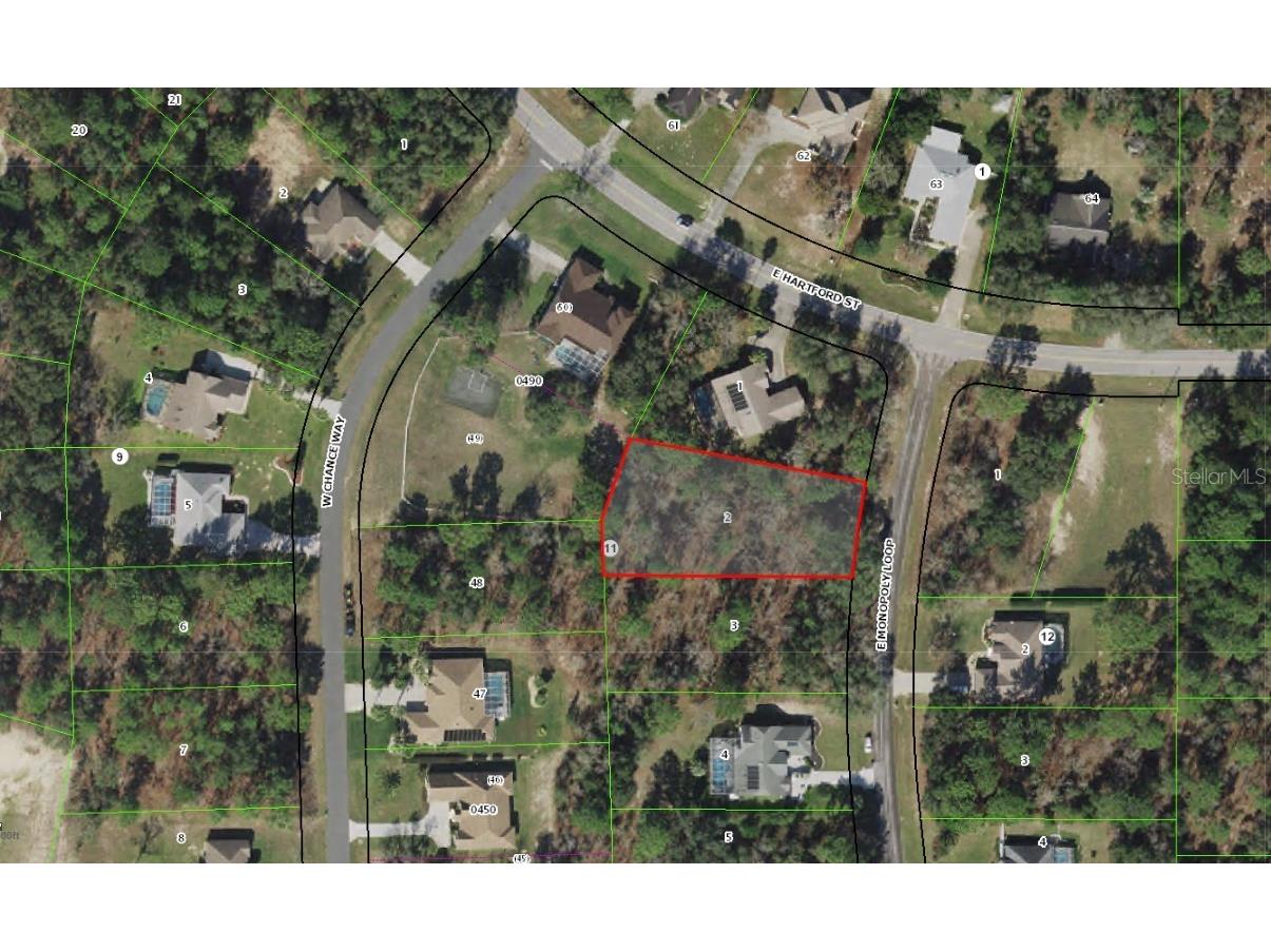 1897 E Monopoly Loop Inverness FL 34453 W7856943 image1