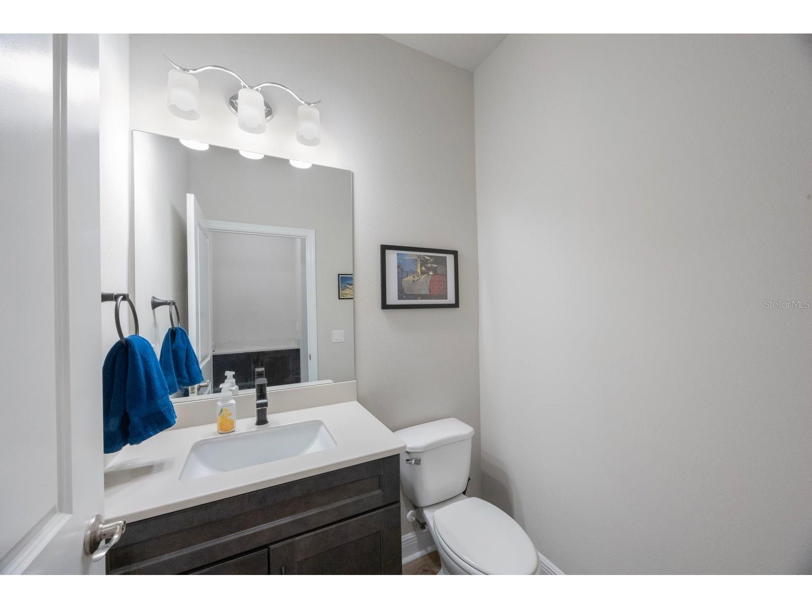 1897 Trailside Drive Palm Harbor FL 34683 TB8387735 image17