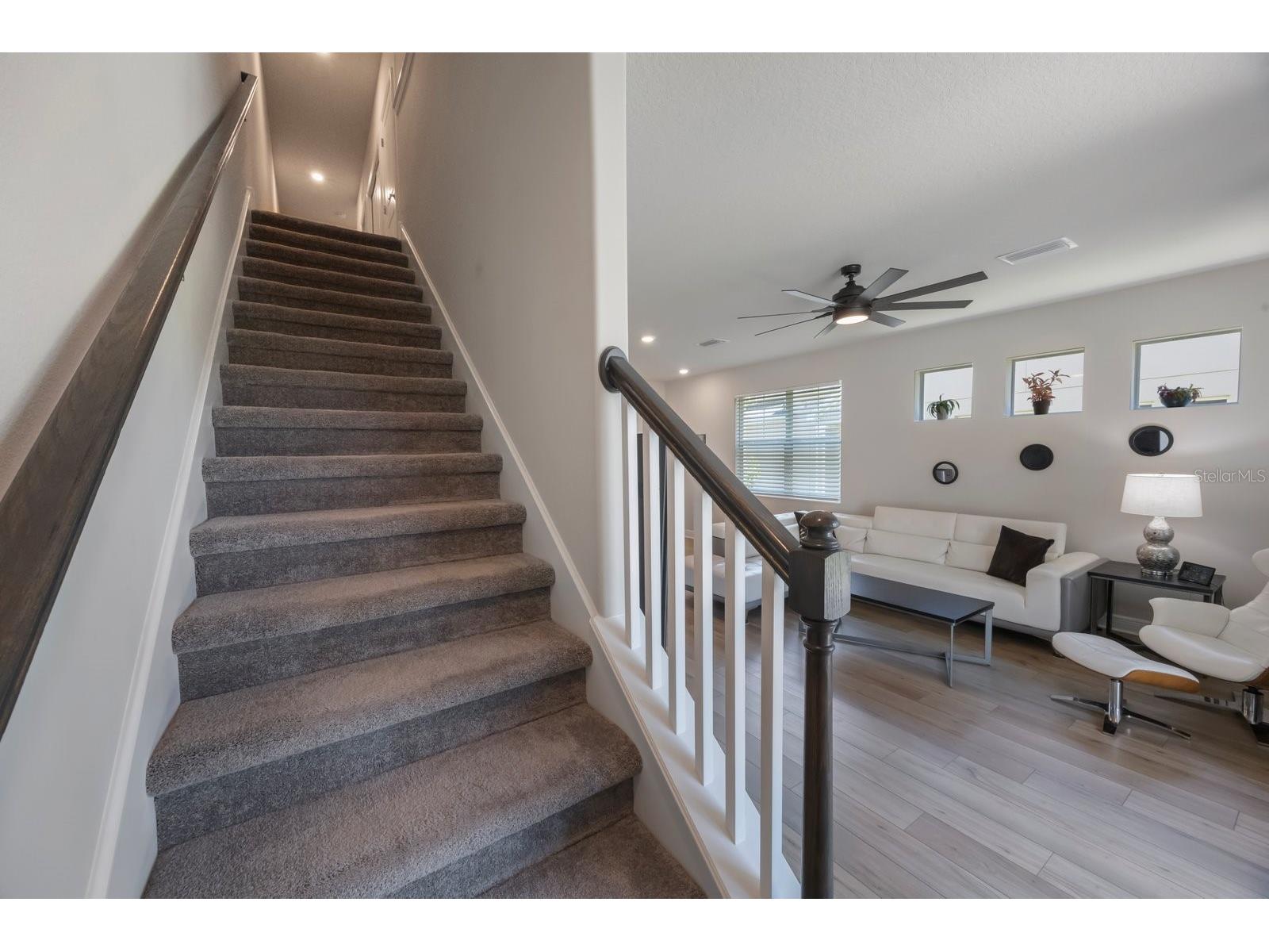 1897 Trailside Drive Palm Harbor FL 34683 TB8387735 image18