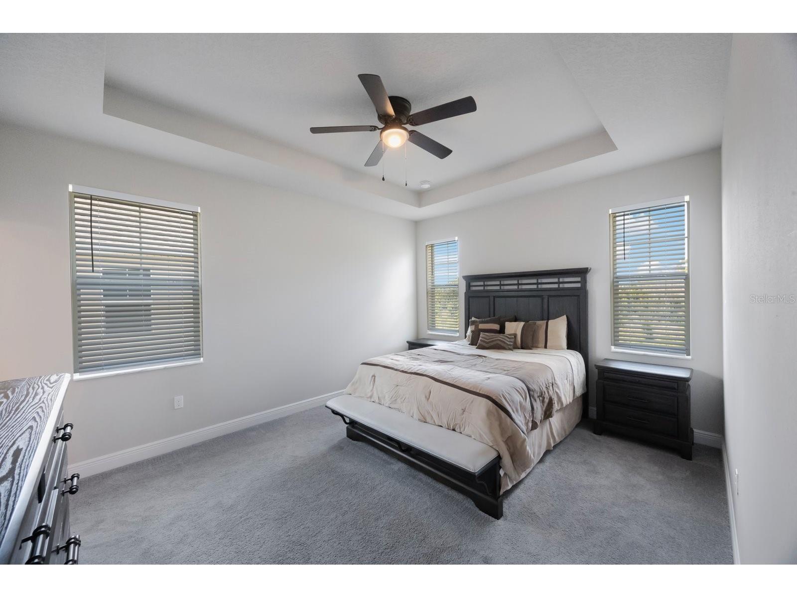 1897 Trailside Drive Palm Harbor FL 34683 TB8387735 image21