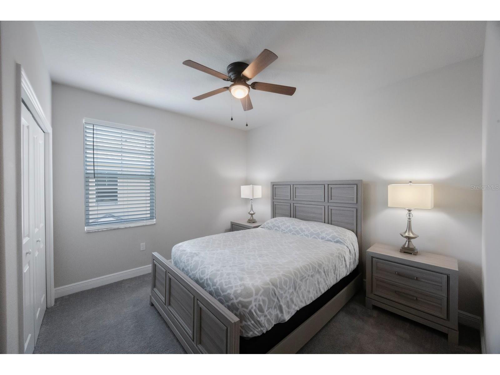 1897 Trailside Drive Palm Harbor FL 34683 TB8387735 image27