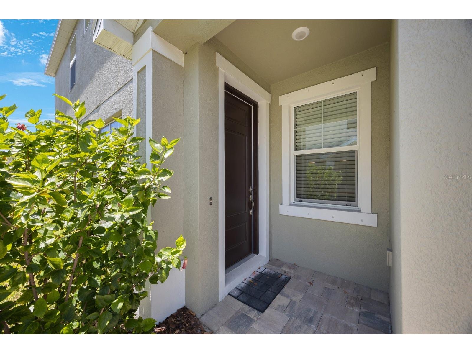 1897 Trailside Drive Palm Harbor FL 34683 TB8387735 image3