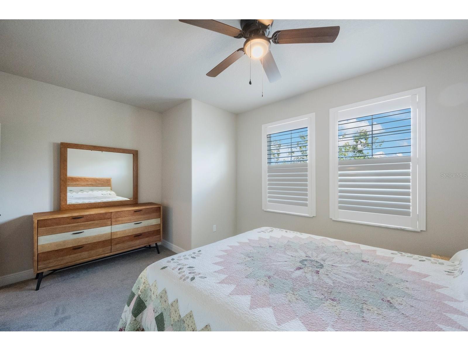 1897 Trailside Drive Palm Harbor FL 34683 TB8387735 image33