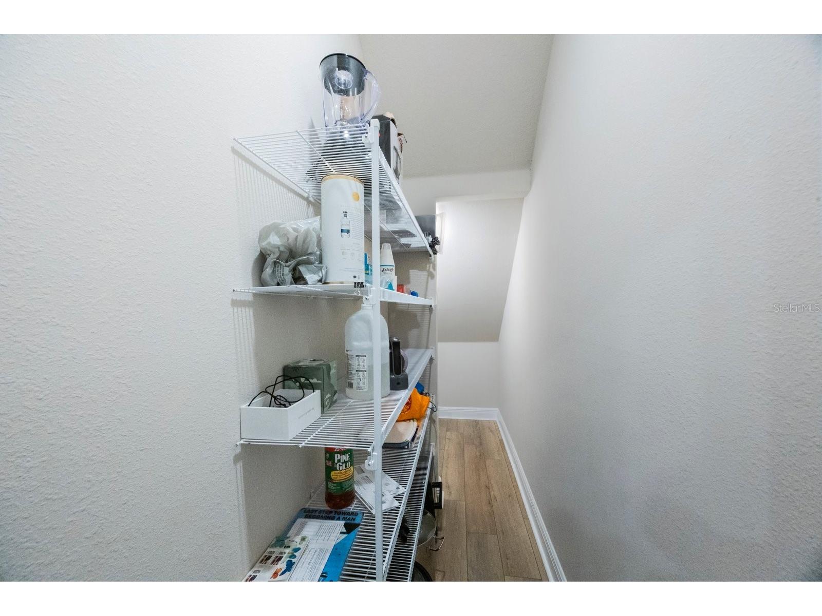 1897 Trailside Drive Palm Harbor FL 34683 TB8387735 image34