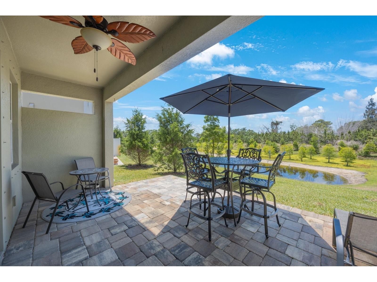 1897 Trailside Drive Palm Harbor FL 34683 TB8387735 image37