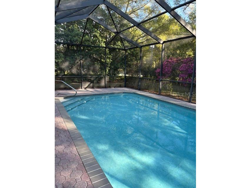 18970 SW 99th Street Dunnellon FL 34432 - ACCESS TO RAINBOW RIVER PRIVATE RIVER PARK OM721184 image40