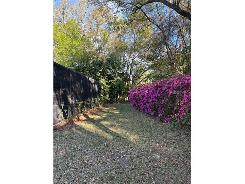 18970 SW 99th Street Dunnellon FL 34432 - ACCESS TO RAINBOW RIVER PRIVATE RIVER PARK OM721184 image42