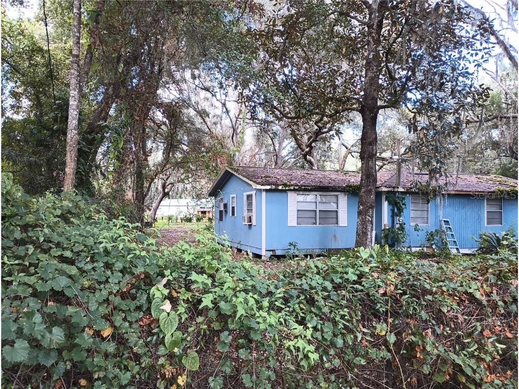 18973 SE 106th Street Ocklawaha FL 32179 OM664834 image1