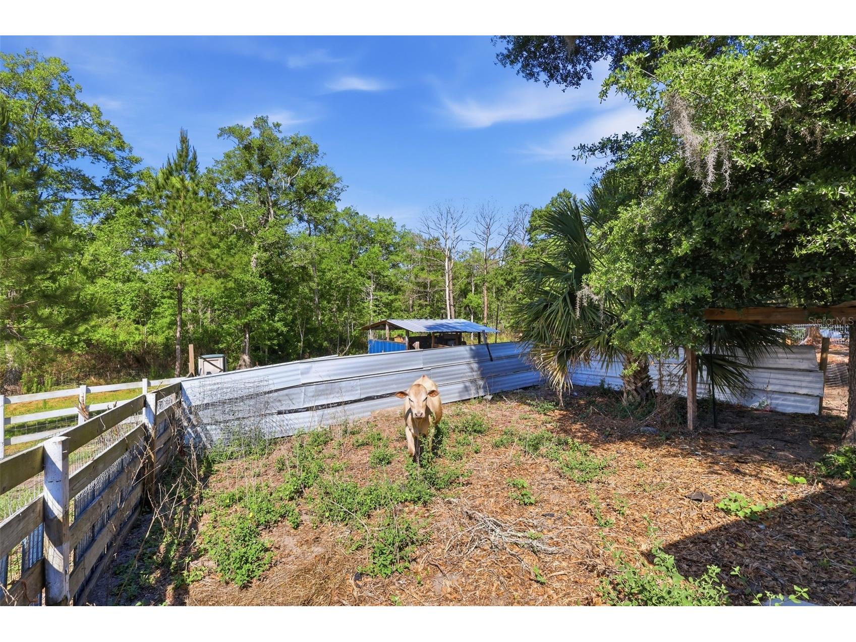 1898 Blackwelder Road De Leon Springs FL 32130 O6404259 image29