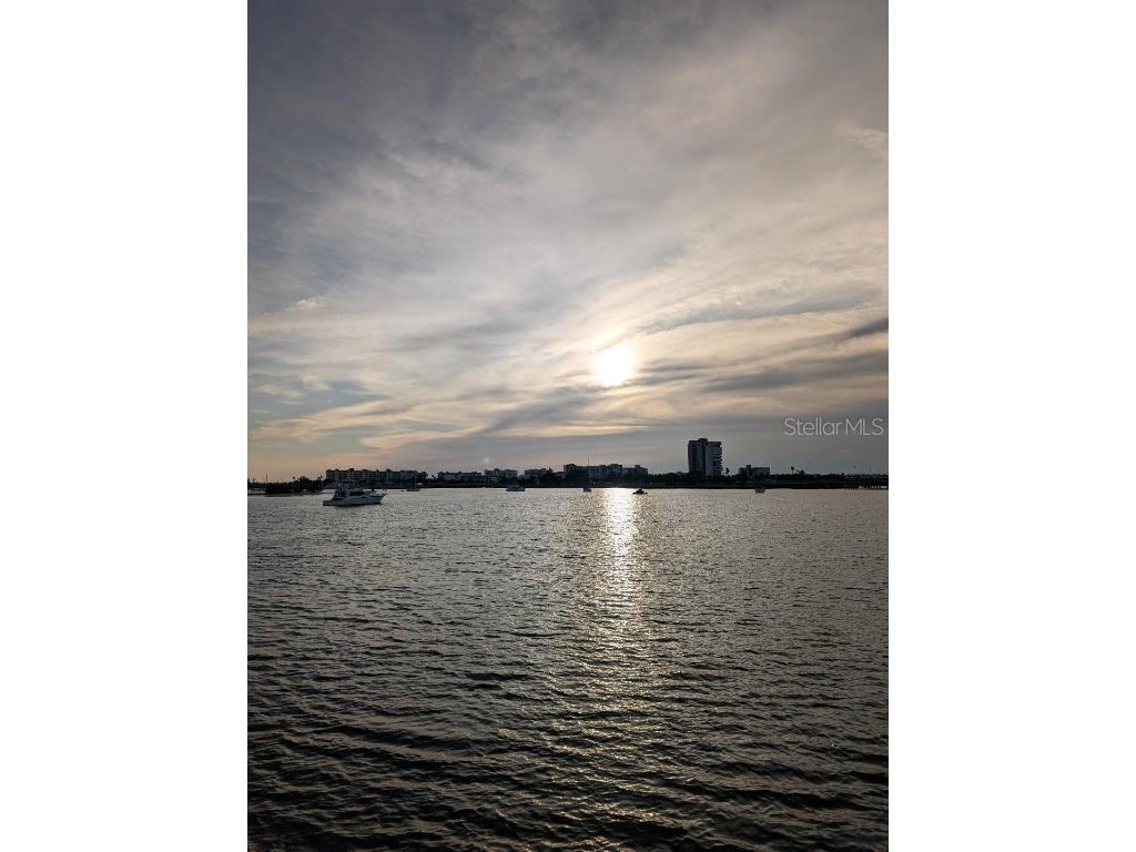 1898 Shore Drive S #311 South Pasadena FL 33707 TB8385527 image1