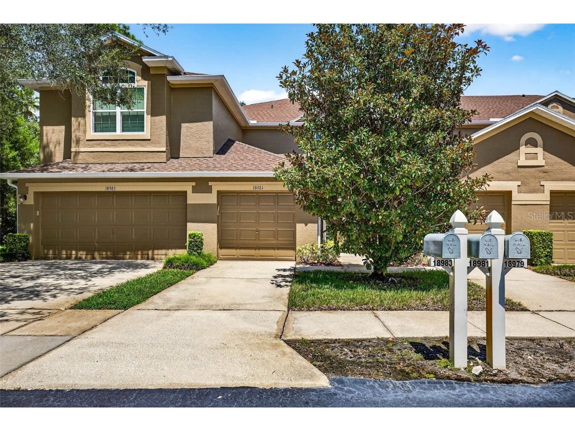 18981 Duquesne Drive Tampa FL 33647 TB8376602 image1