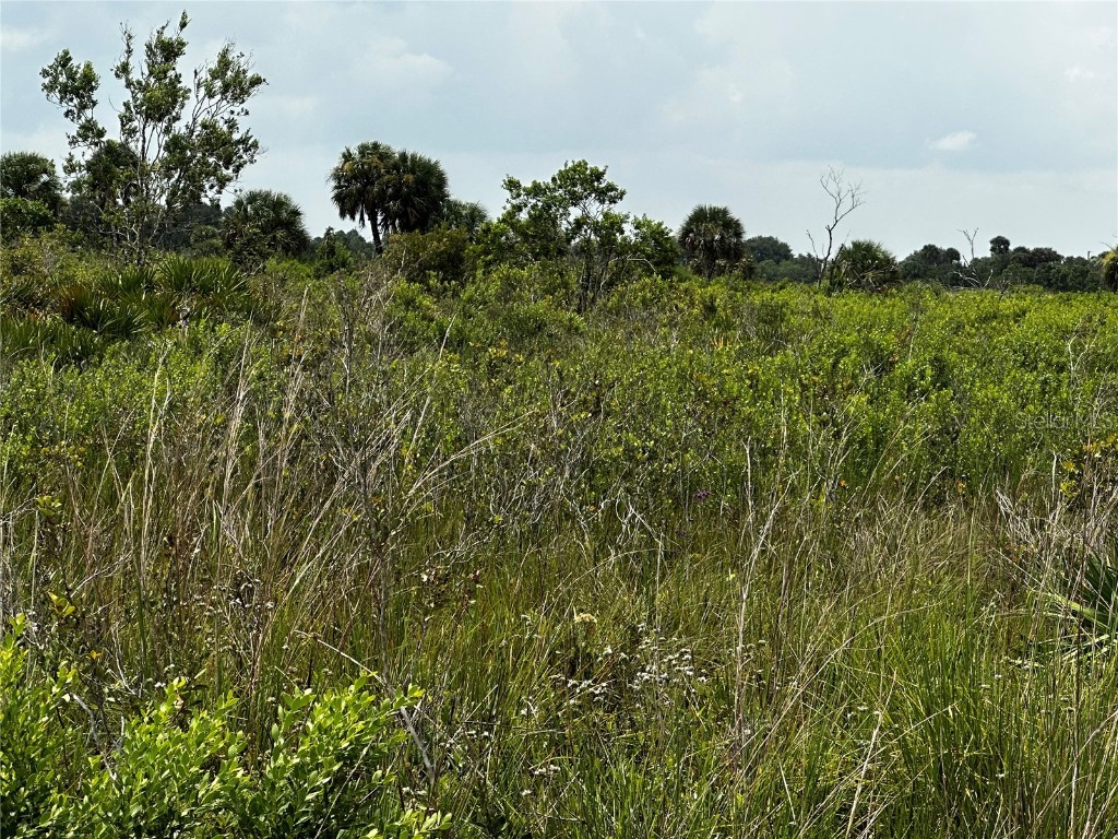 18981 NW 278th Street Okeechobee FL 34972 OK223188 image1