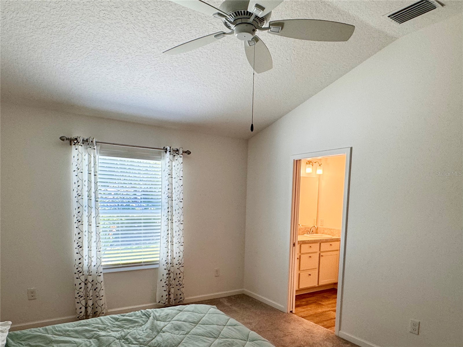 1899 Groesser Place The Villages FL 32163 G5104005 image10