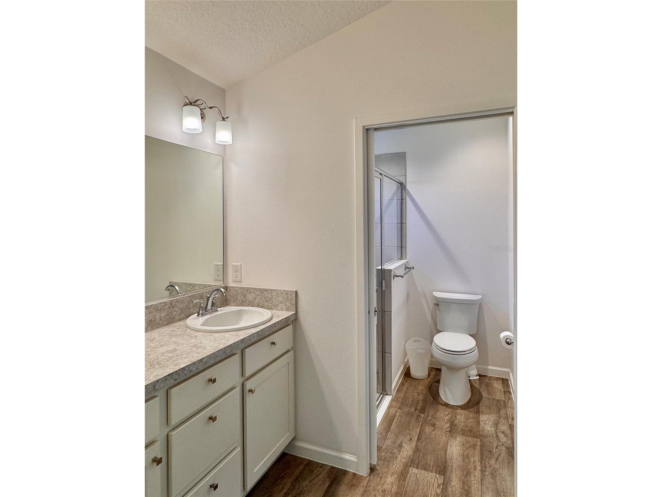 1899 Groesser Place The Villages FL 32163 G5104005 image12