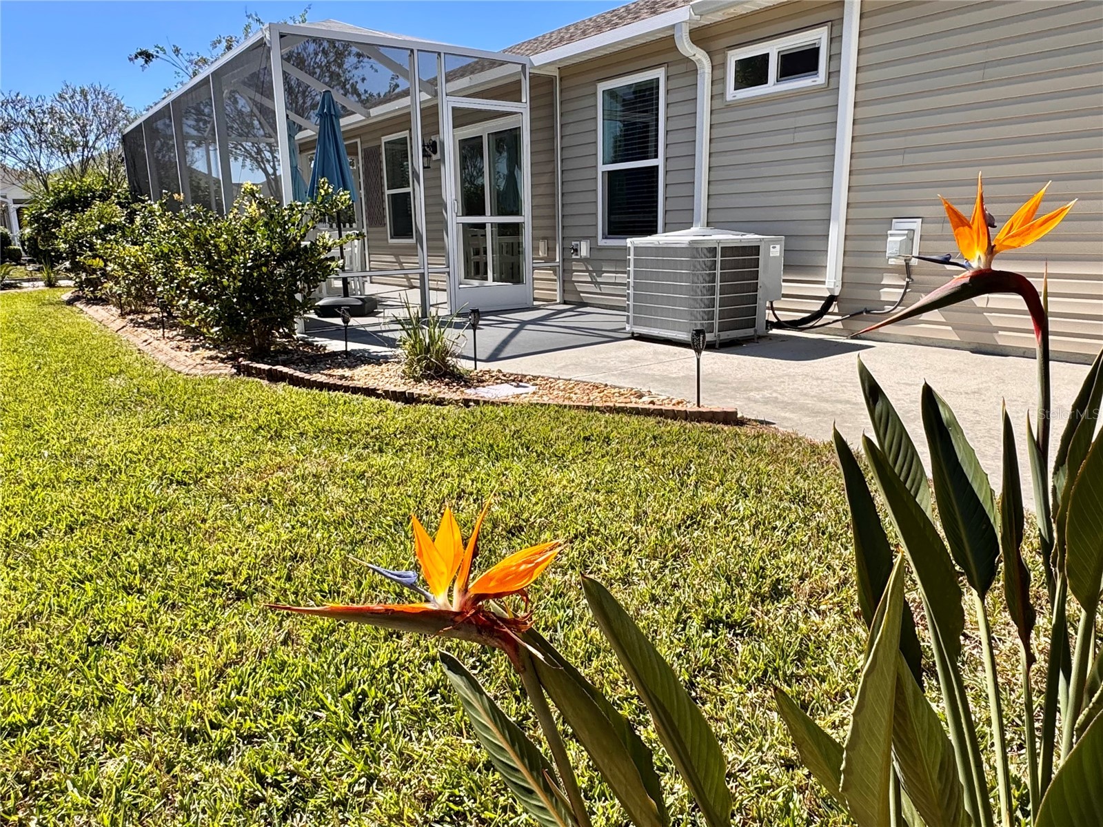 1899 Groesser Place The Villages FL 32163 G5104005 image20