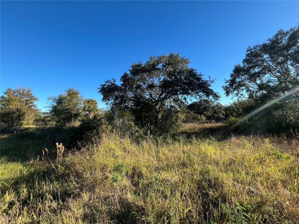 18990 NW 284th Street Okeechobee FL 34972 OK224874 image1