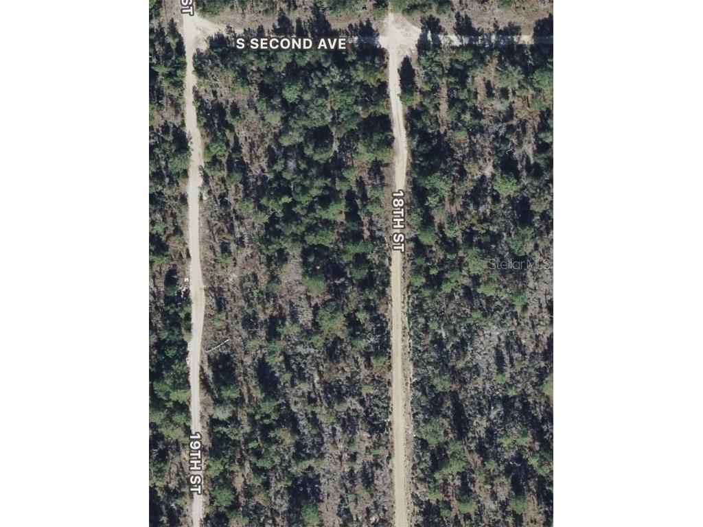 18th Street Interlachen FL 32148 O6310576 image5