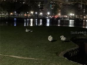 19 A N Thornton Avenue W Orlando FL 32801 O6362973 image11