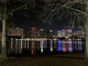 19 A N Thornton Avenue W Orlando FL 32801 O6362973 image12