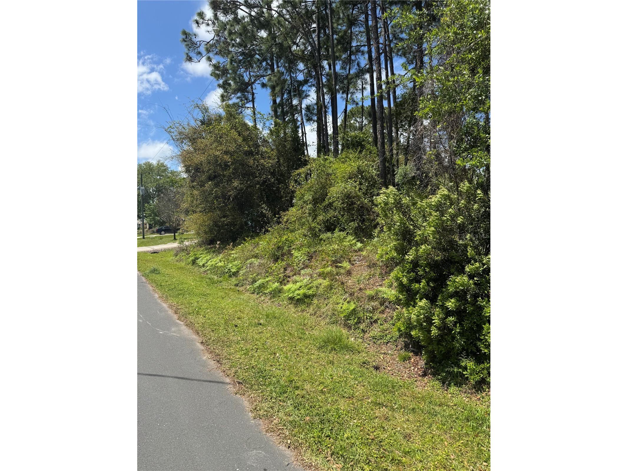19 Bassett Lane Palm Coast FL 32137 FC317395 image1