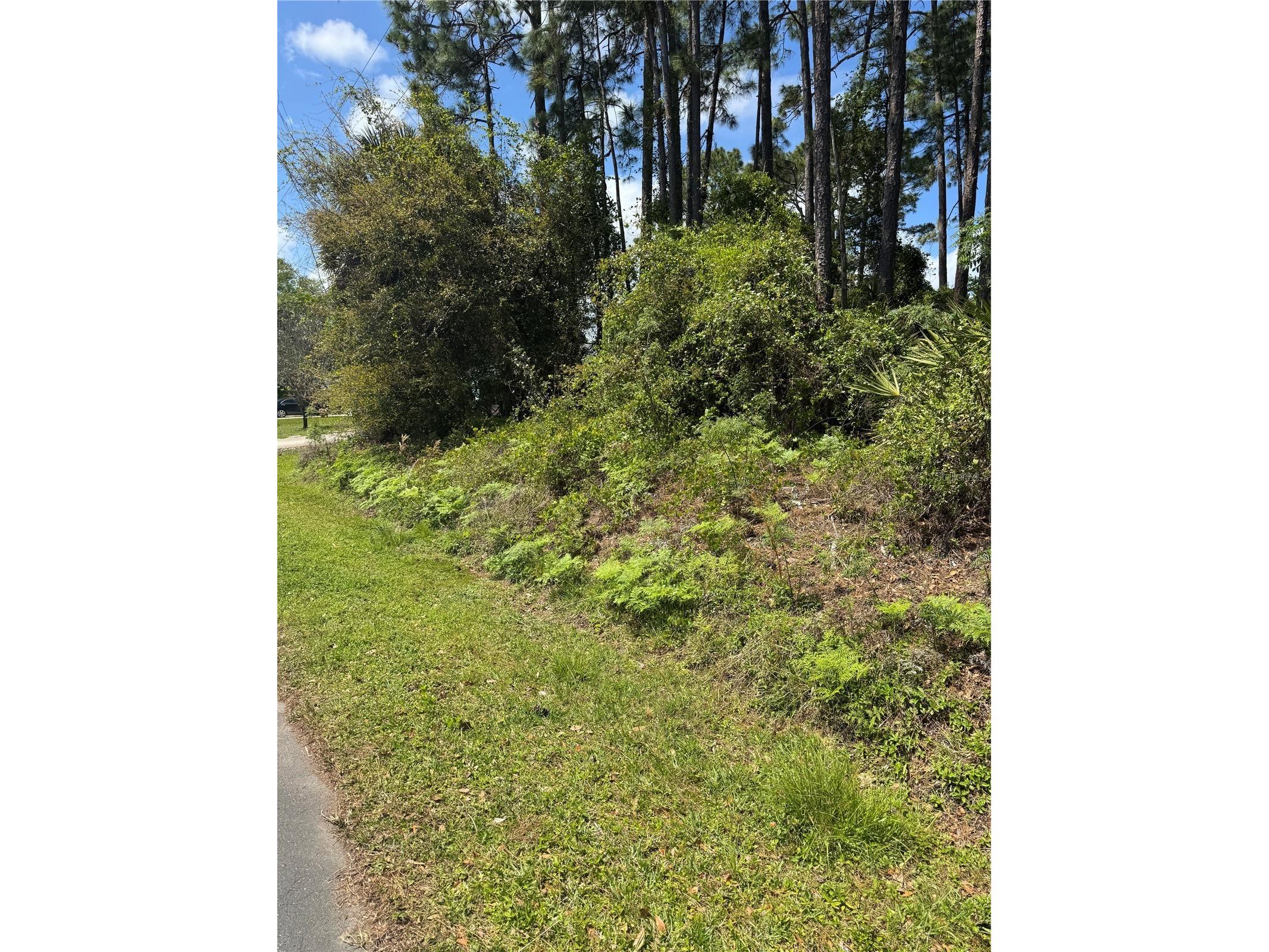 19 Bassett Lane Palm Coast FL 32137 FC317395 image4
