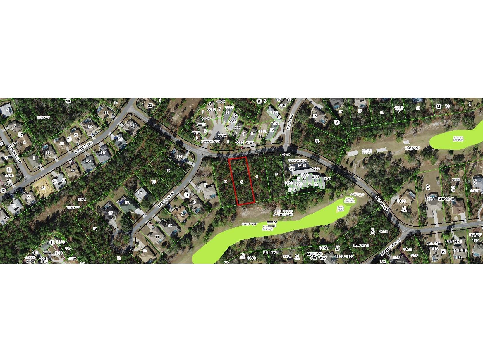 19 Beech Street Homosassa FL 34446 OM721998 image4