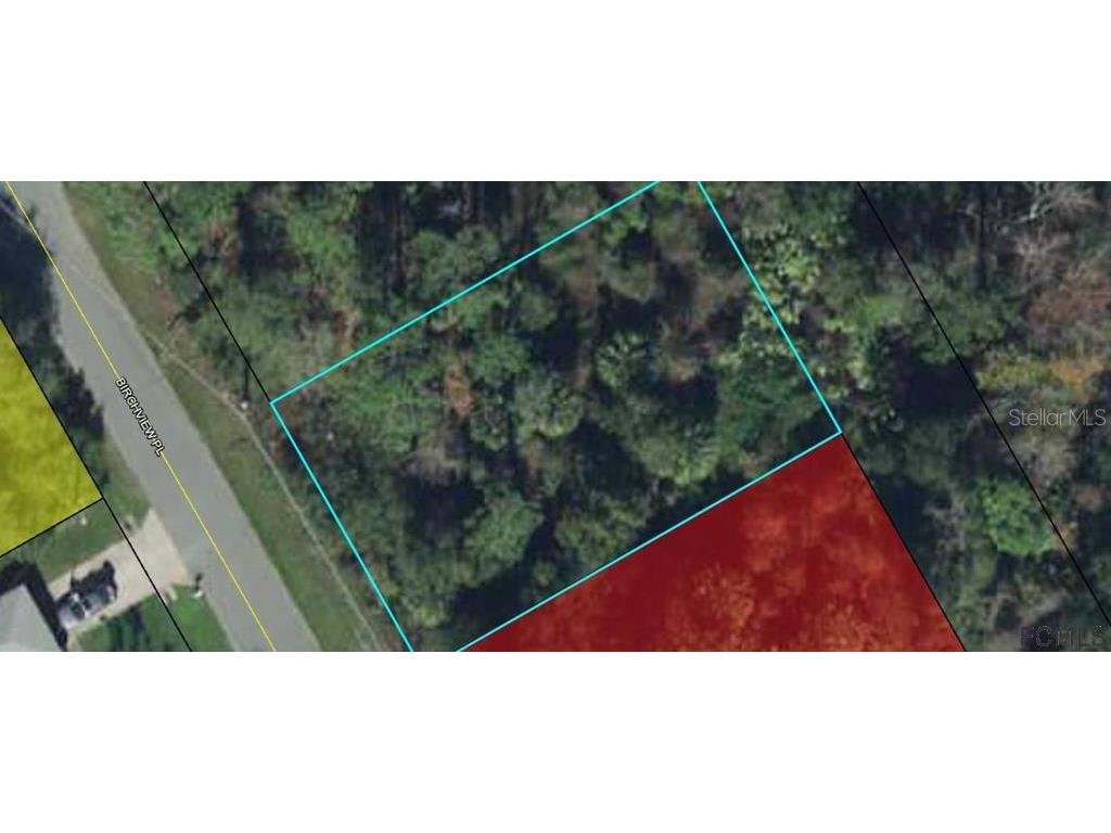 19 Birchview Place Palm Coast FL 32137 FC272071 image2